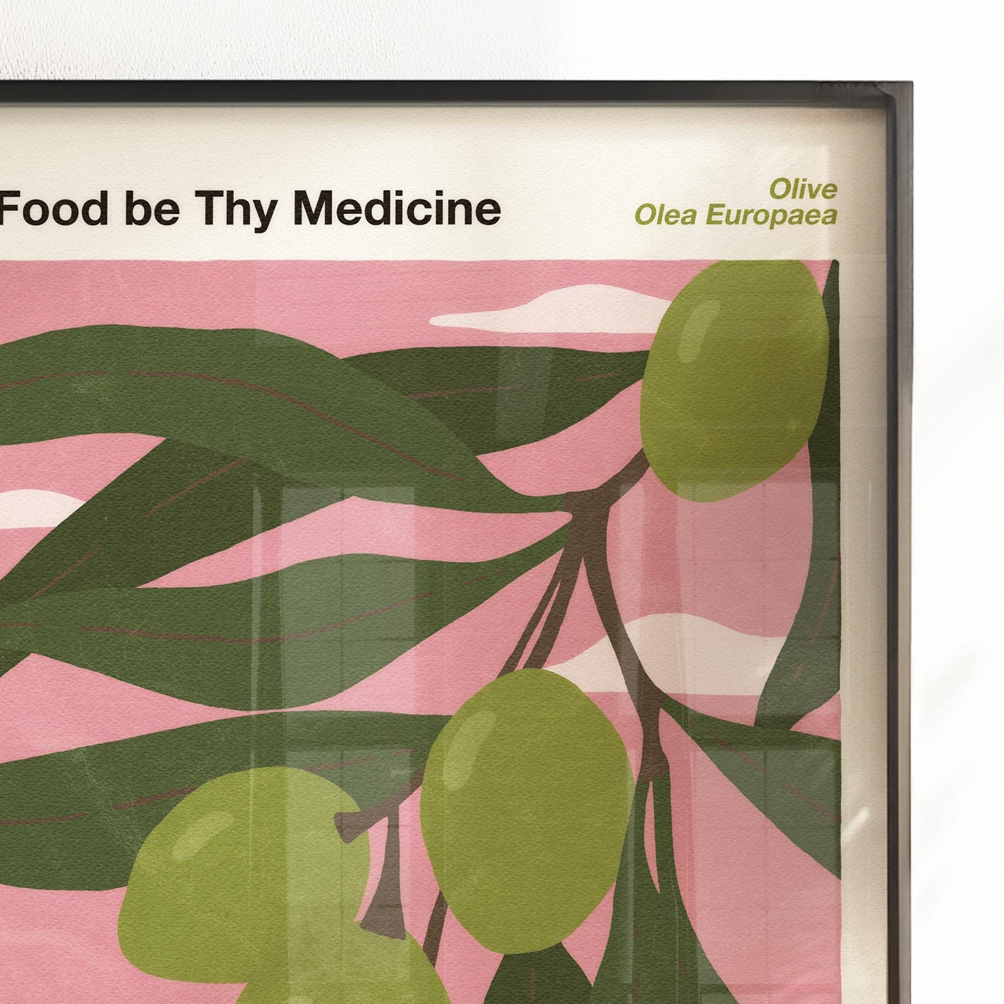 Let Food Be Thy Medicine and Medicine Be Thy Food Poster – Olive (Olea Europaea)