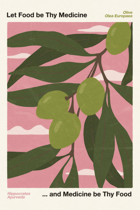 Let Food Be Thy Medicine and Medicine Be Thy Food Poster – Olive (Olea Europaea)